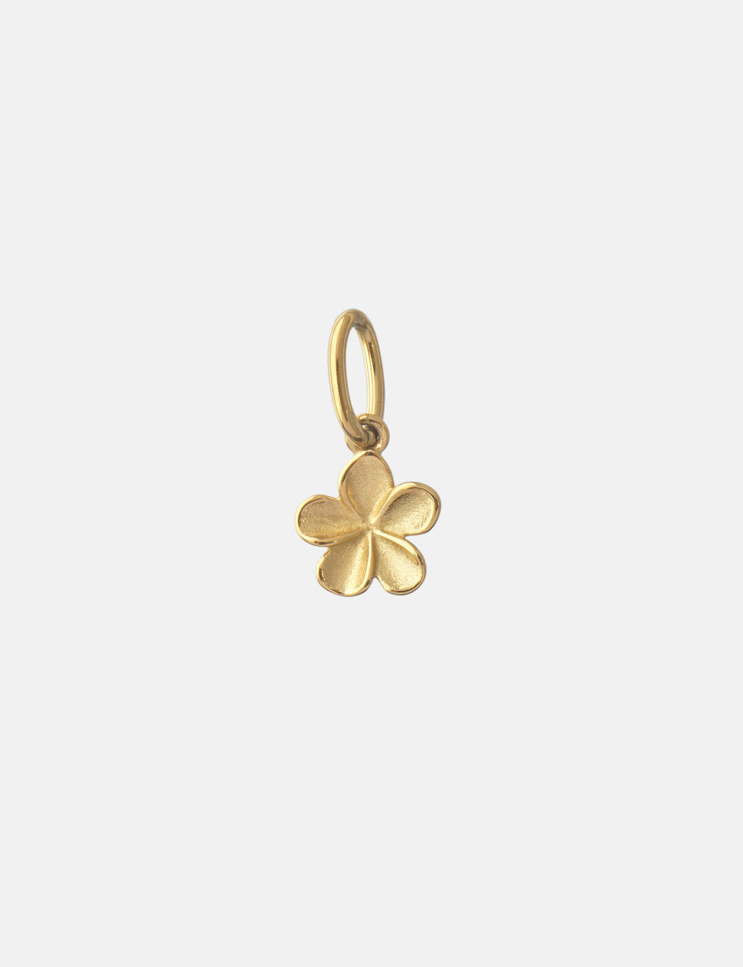 Personalized Frangipani Charm - Anhänger (wasserfest)