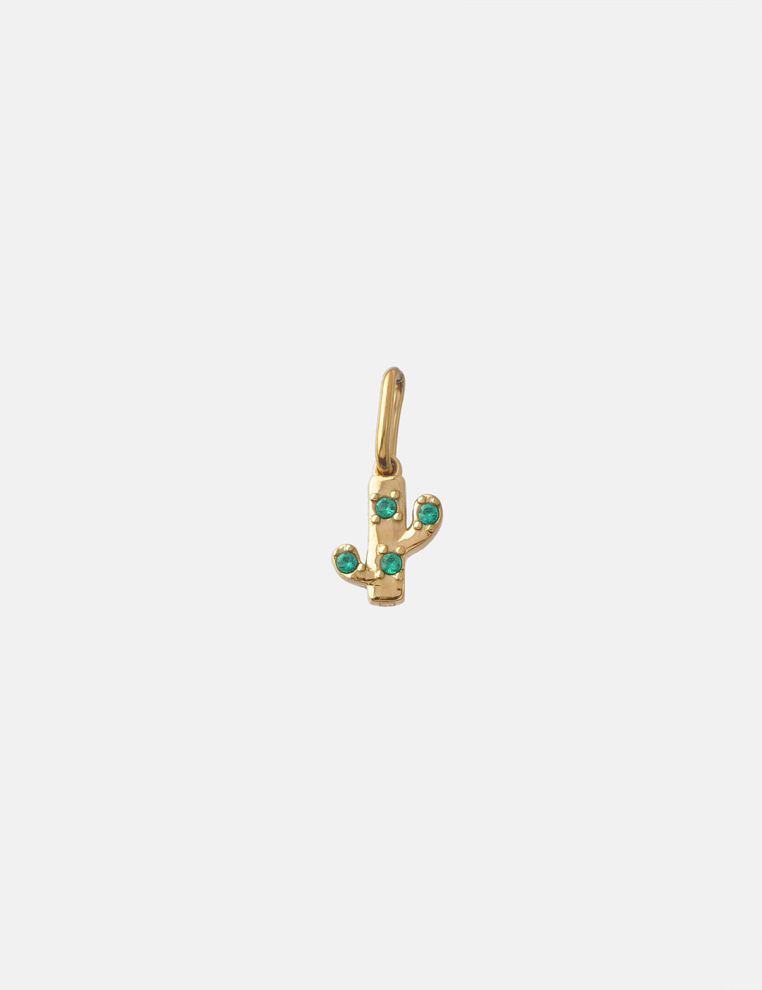Personalized Kaktus Charm - Anhänger (wasserfest)