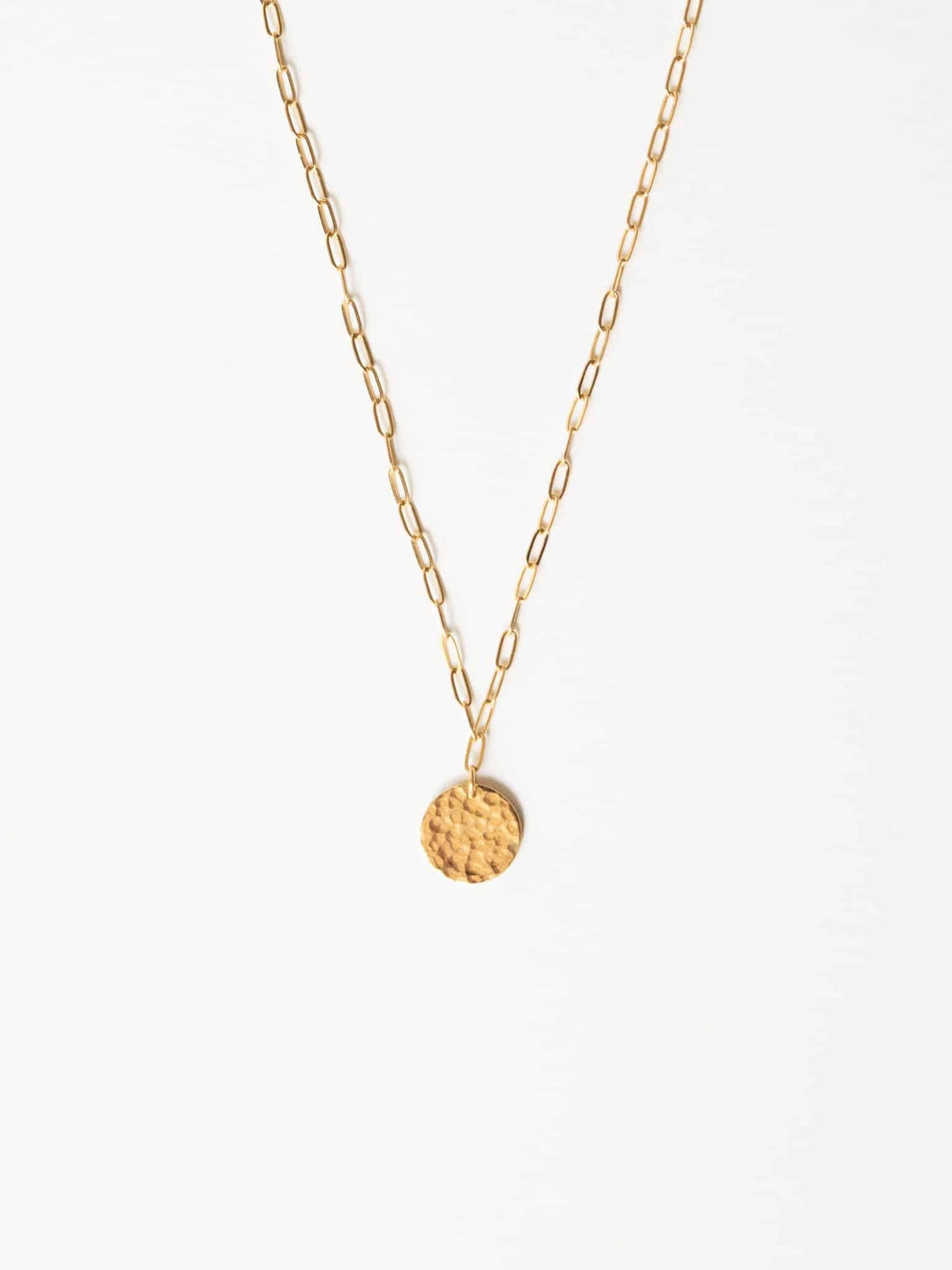 Brooklyn Coin Necklace (wasserfest)