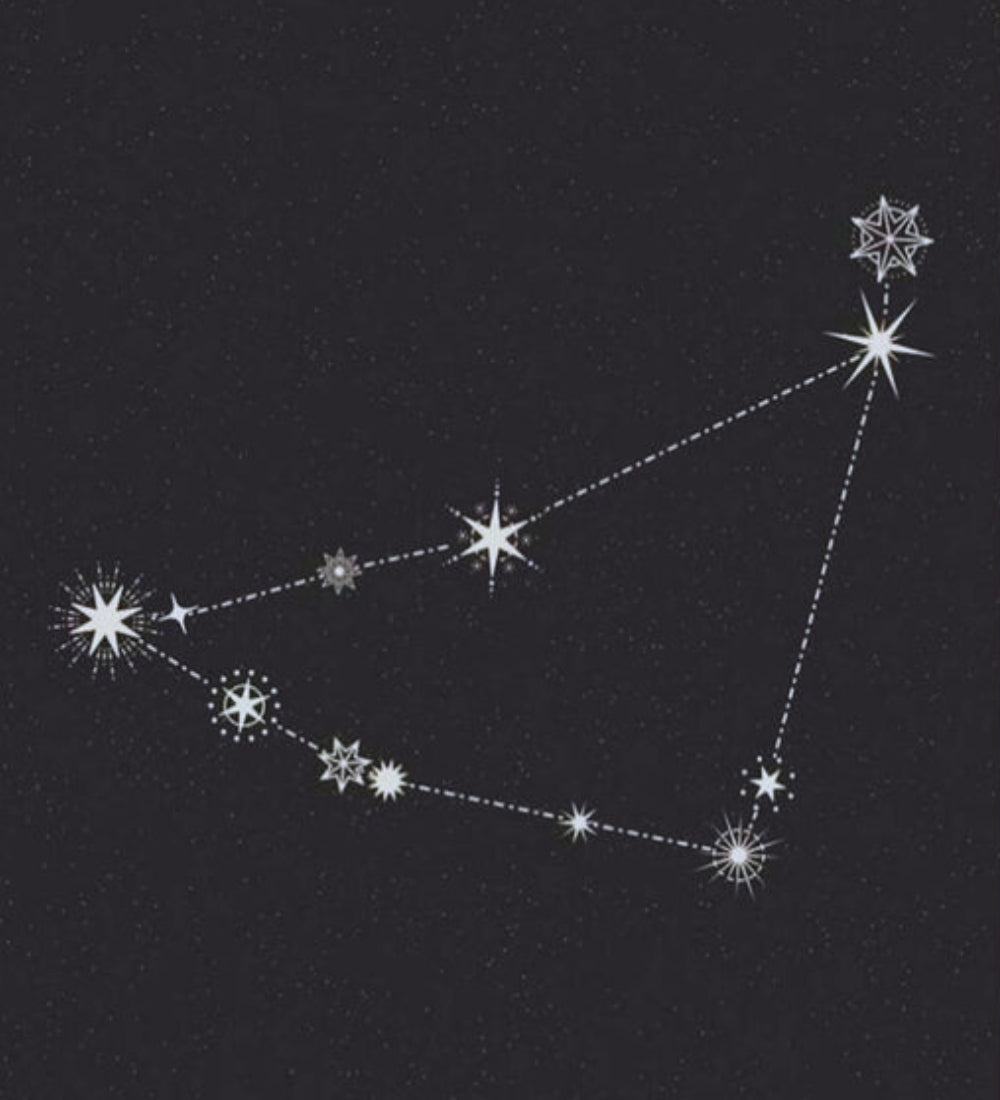 Schmuck für das Sternzeichen Steinbock