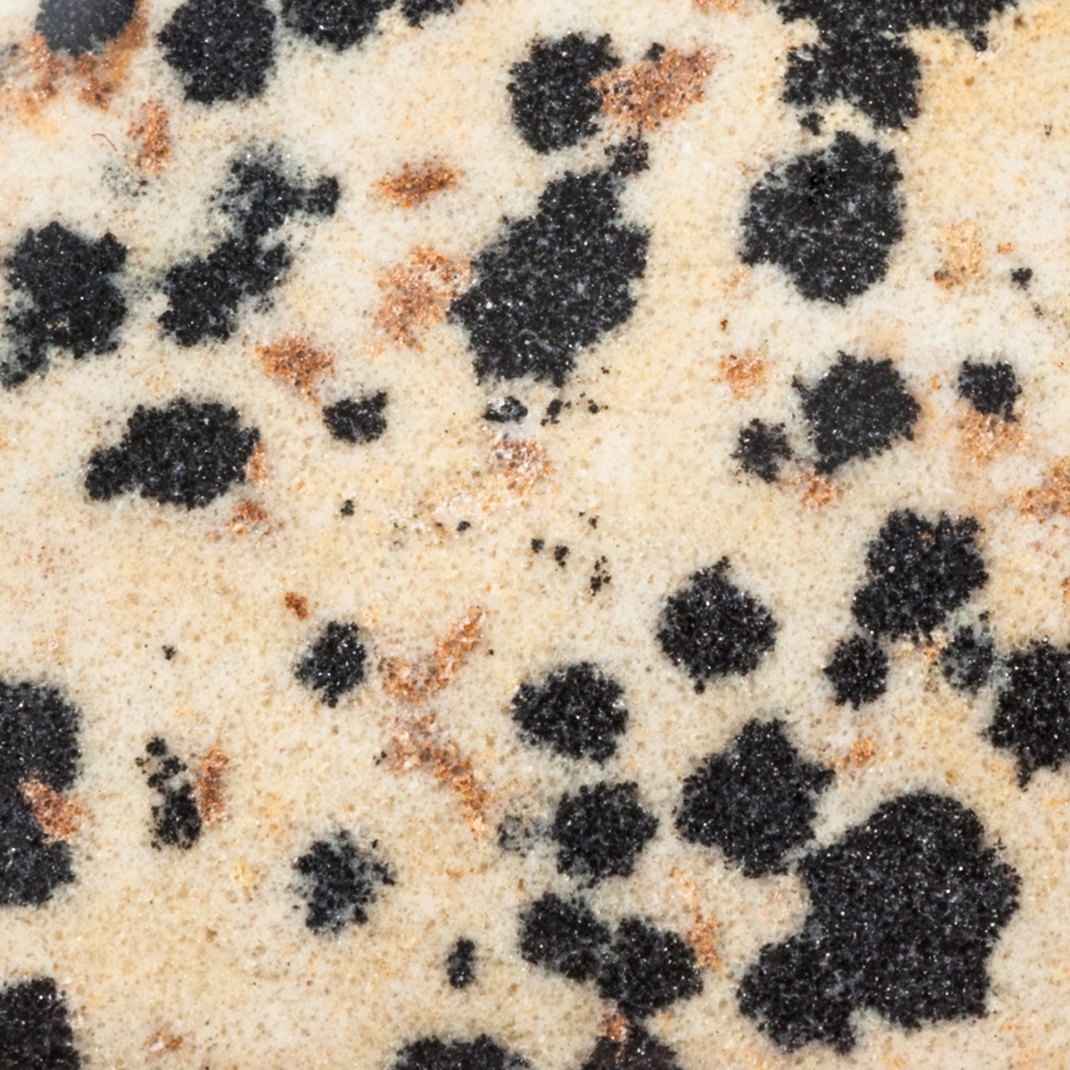 Dalmatinerjaspis Schmuck