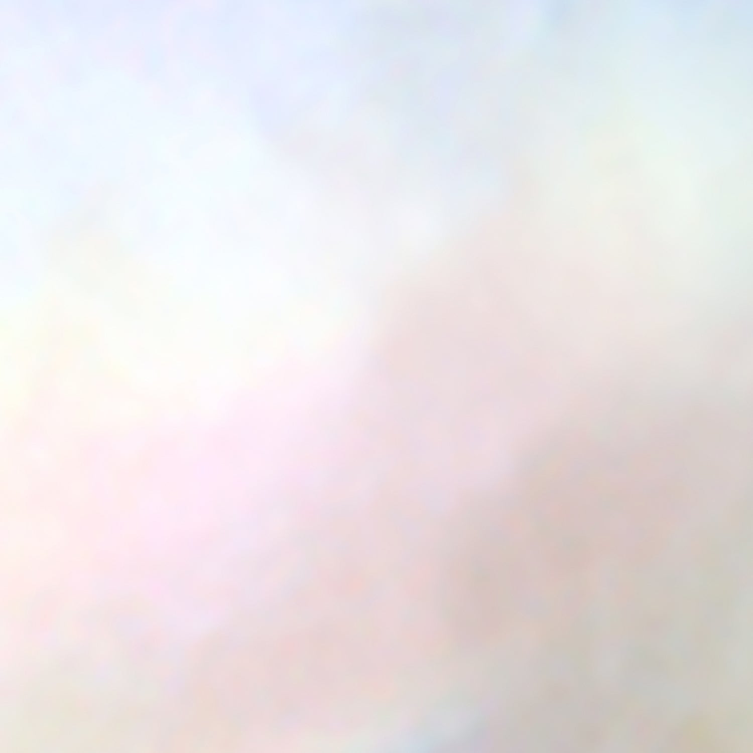 Perlmutt & Perlen Schmuck