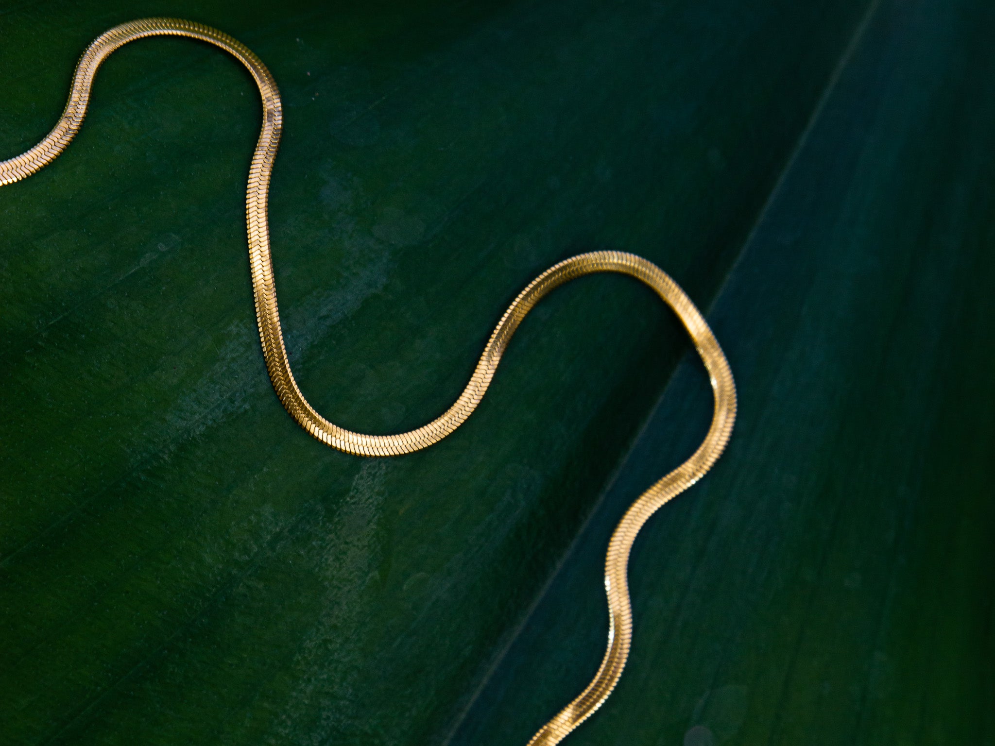 Karriere » Tara Style