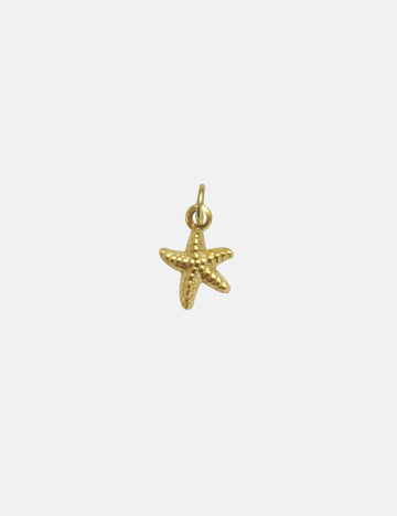 Personalized Starfish Charm - Anhänger (wasserfest)