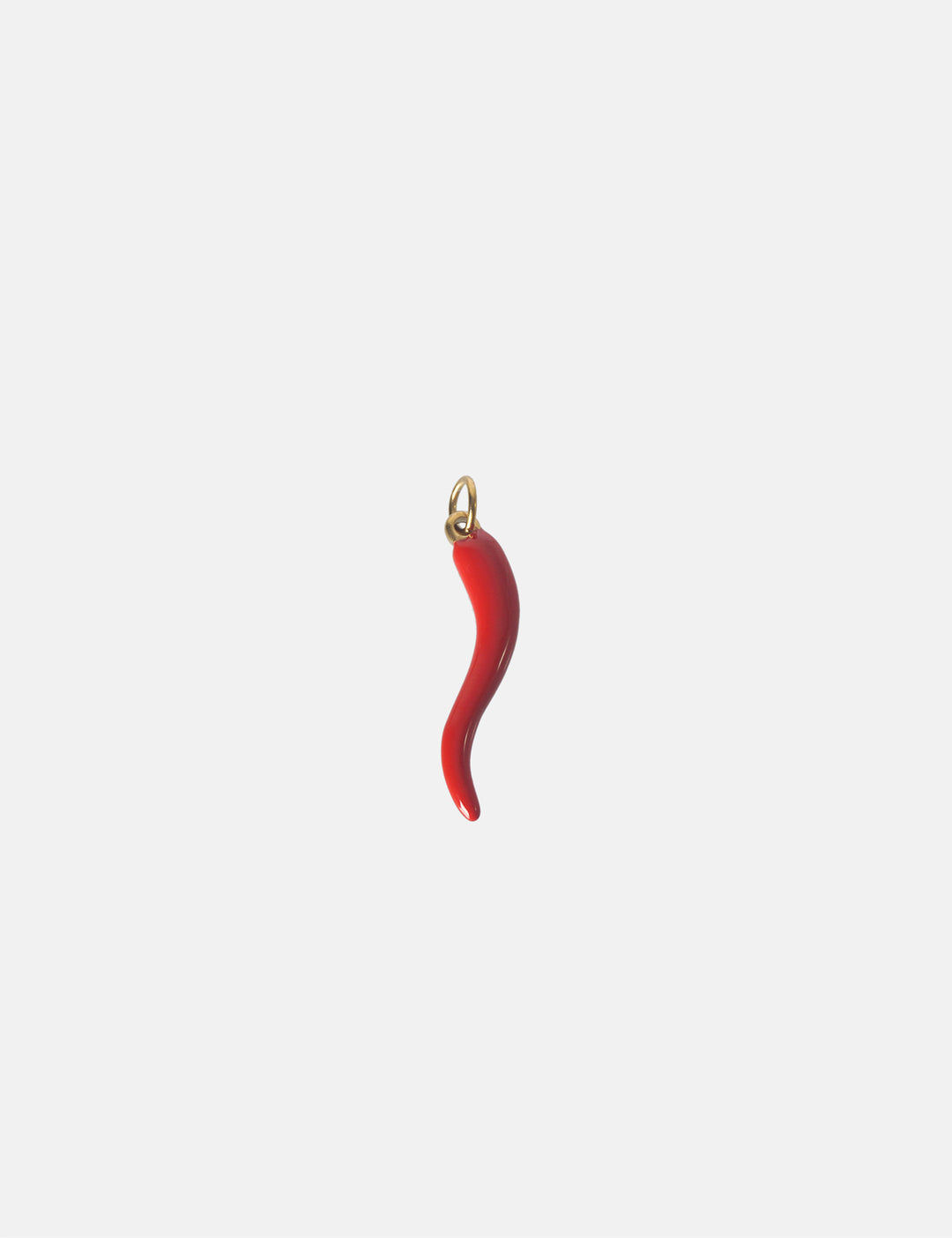 Personalized XL Chilli Charm - Anhänger (wasserfest)