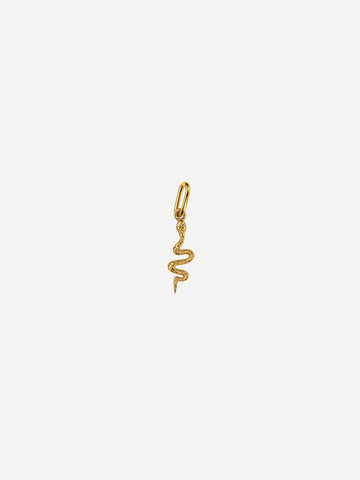 Personalized Snake Charm - Anhänger (wasserfest)