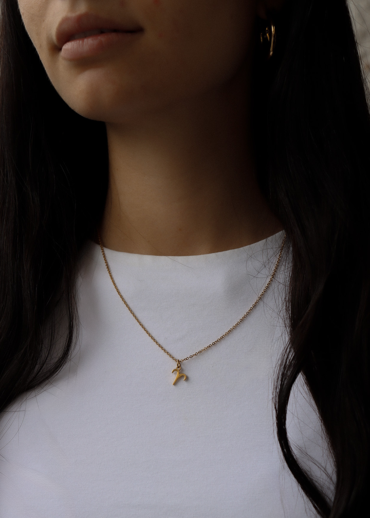 Zodiac Sign Necklace - Halskette (wasserfest)