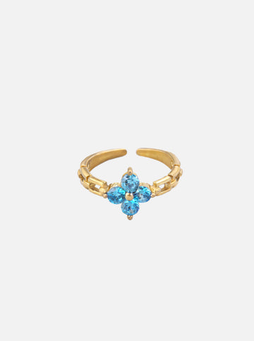 Icon Ring Set (wasserfest)