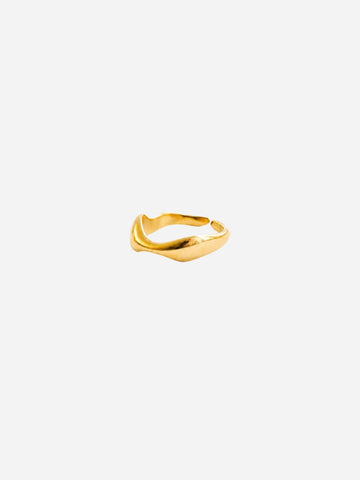 Paris Ring - Fingerring (wasserfest)