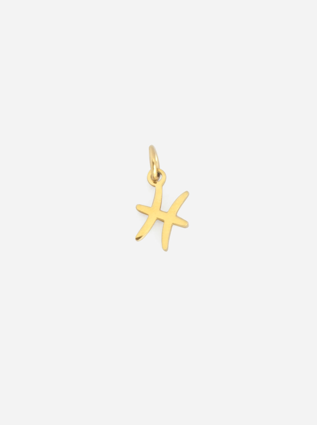 Personalized Zodiac Sign Charm - Sternzeichen Anhänger (wasserfest)