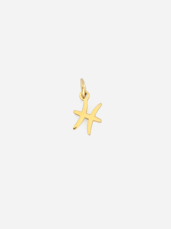 Personalized Zodiac Sign Charm - Sternzeichen Anhänger (wasserfest)