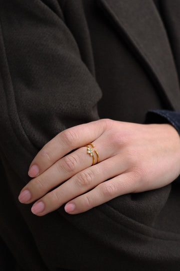 Double Zircone Love Ring - Fingerring (wasserfest)