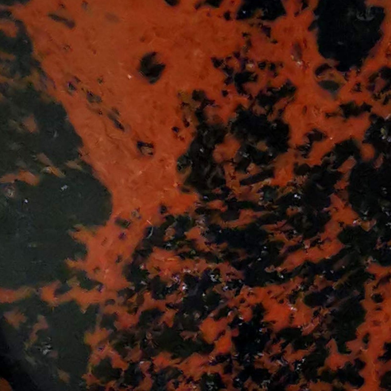 Goldener Schwanenstein Schmuck