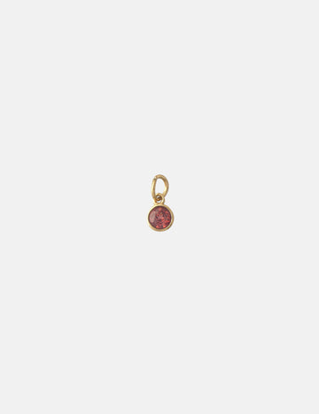 Personalized Edelstein Birthstone Charm - Anhänger (wasserfest)
