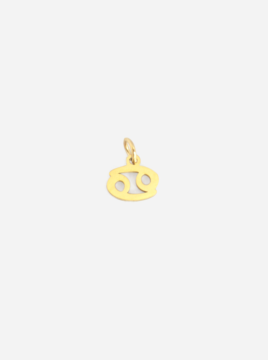 Personalized Zodiac Sign Charm - Sternzeichen Anhänger (wasserfest)
