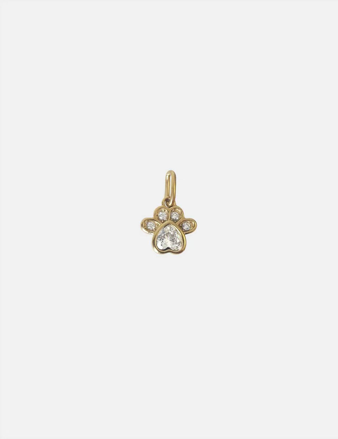 Personalized Shiny Paw Charm - Anhänger (wasserfest)