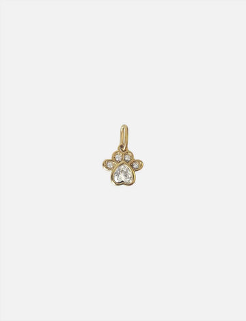 Personalized Shiny Paw Charm - Anhänger (wasserfest)