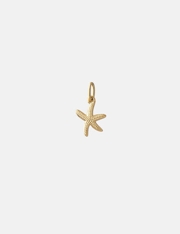 Personalized Seestern Charm (matt) - Anhänger (wasserfest)