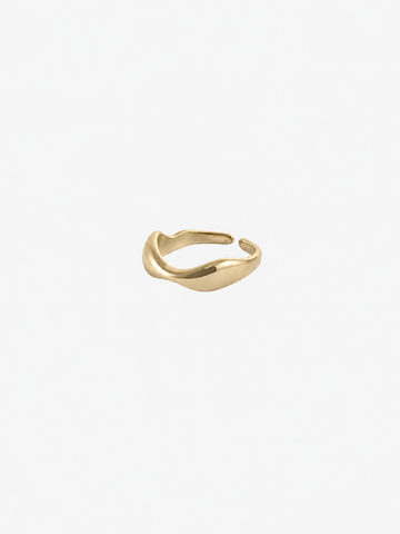 Paris Ring - Fingerring (wasserfest)