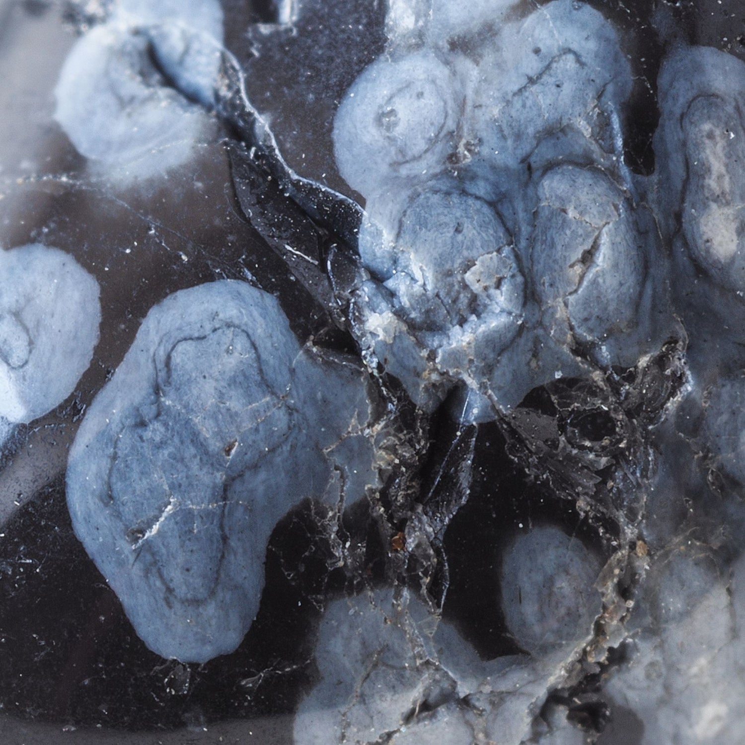 Schneeflocken-Jaspis Schmuck