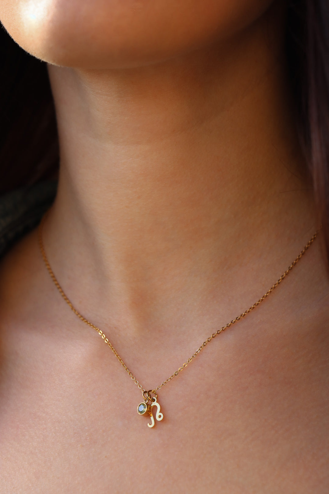 Zodiac Sign Necklace - Halskette (wasserfest)