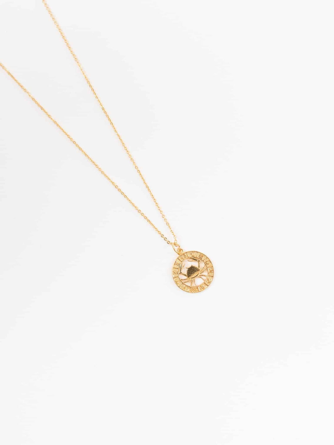 Sternzeichen des Monats - Schütze Necklace (waterproof)
